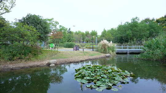 武汉光谷三路湿地公园风景