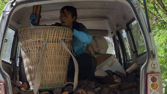 农村妇女在车上整理木头木柴