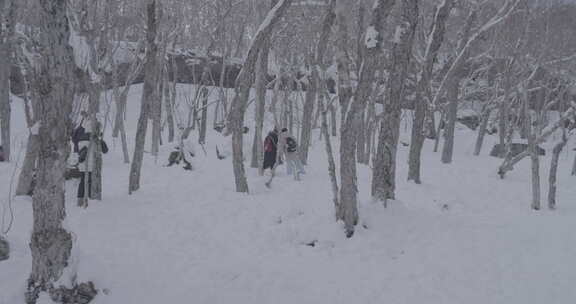 被雪覆盖的长白山北坡景区风光