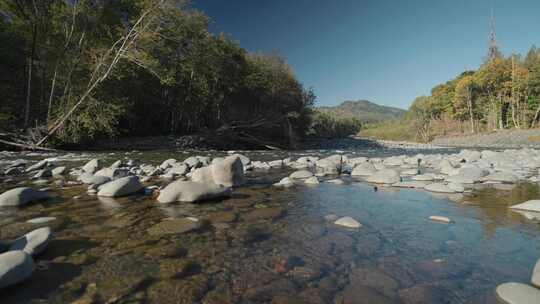 溪流，岩石，树木，水