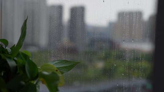 下雨天的窗外