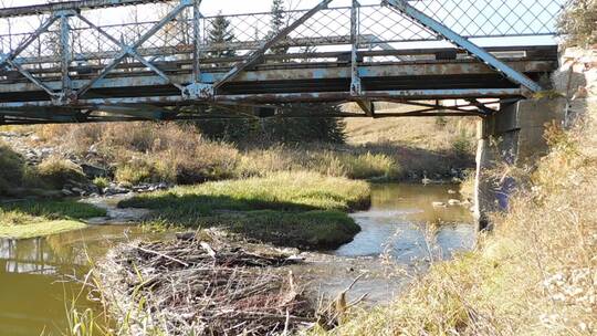 小溪上的钢桥