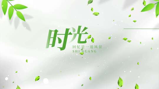 简洁光影标题文字片头