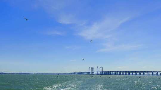 泉州湾大桥风景