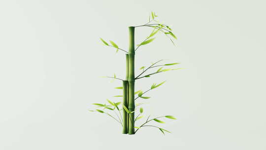 绿色竹子和竹叶循环动画3D渲染
