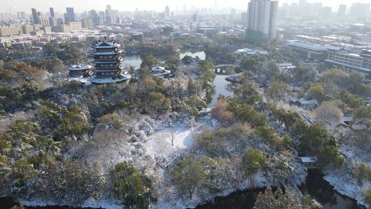 航拍 山东 济南 大明湖 5A 景区 雪景