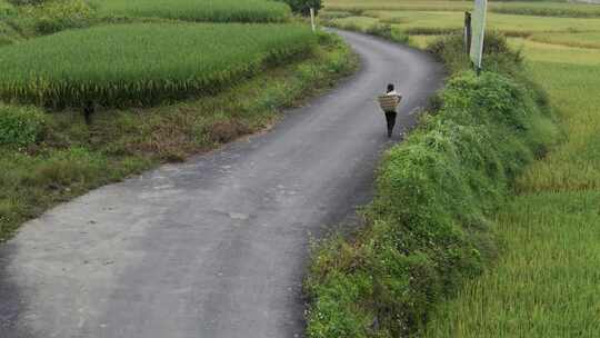 农村妇女走在田野边上的小路