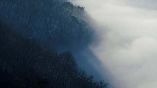 冬季山间树木云雾云海