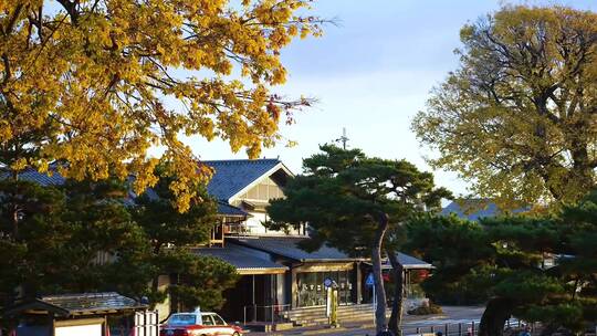 日本岚山风景