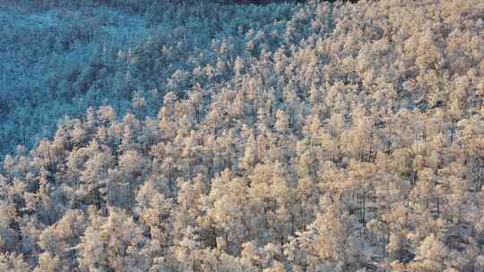 高山雾凇