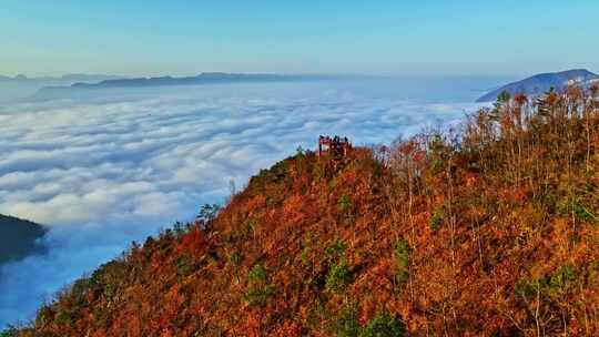 大气航拍巫峡云海红叶