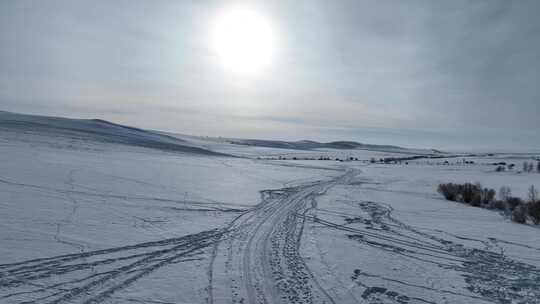 呼伦贝尔疏林雪原风光视频素材模板下载