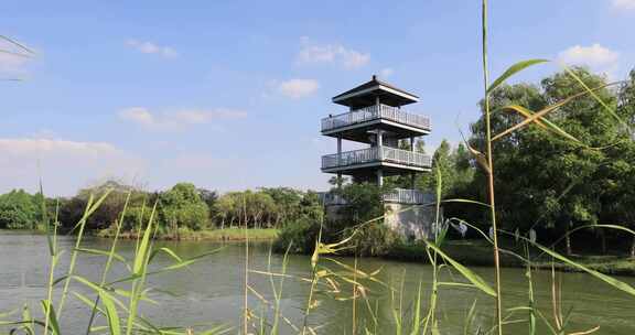 美丽的苏州太湖湿地国家森林公园