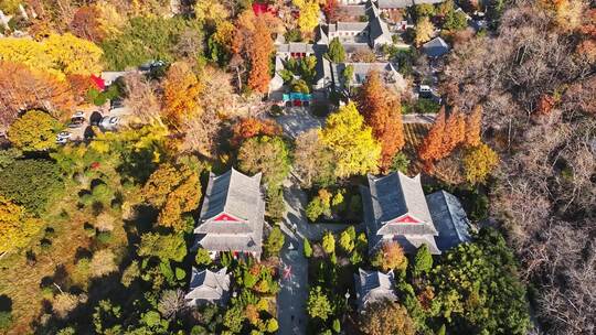 青岛崂山青岛秋景青岛太清宫航拍视频素材模板下载