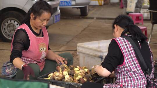 云南野生菌市场 合集视频素材模板下载