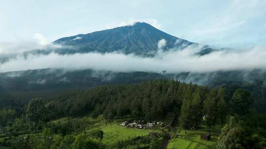 森林自然水流溪水风景树林山水自然山山川