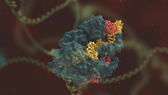 生物科学 基因编辑 DNA 基因工程 医学动画