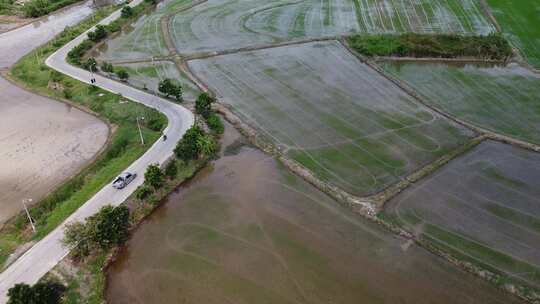 侧面有道路的农田鸟瞰图