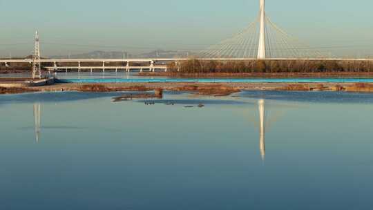 石家庄地标 复兴大街 滹沱河