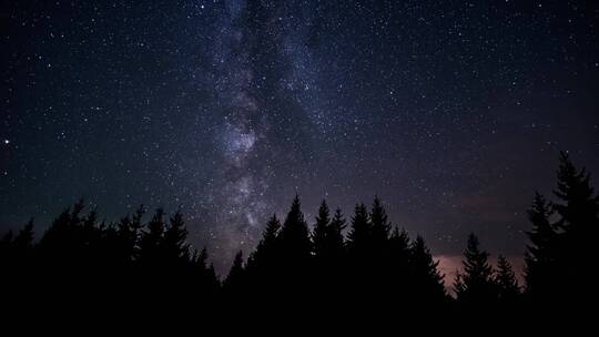 延时拍摄夜空中星星的运动和树