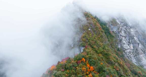 四川茂县秋季山峰彩林云雾缭绕山水画般风景