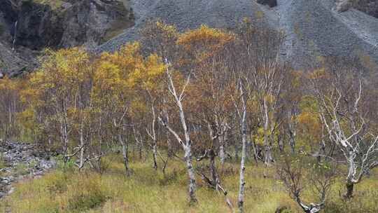 吉林长白山风景区秋季风光