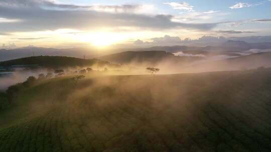 茶山云海日出视频素材模板下载