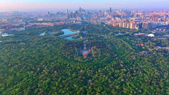 中国辽宁沈阳北陵公园生态城市摩天大楼