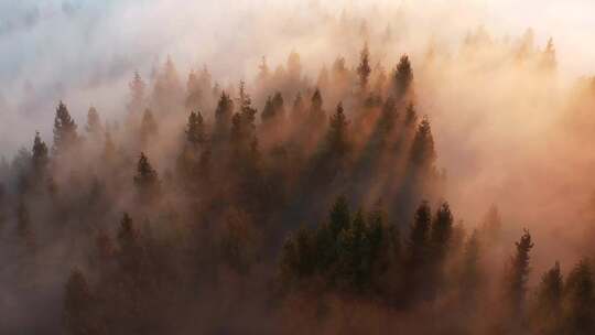 湖北利川毛坝大茅坡清晨曙光与云海山雾