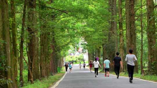 林间道路行人跑步漫步