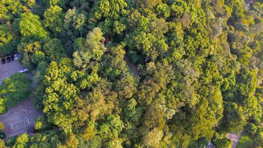 航拍杭州吴山城隍阁建筑风景视频