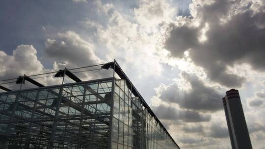 大气震撼温室蔬菜玻璃大棚建设高新农业延时