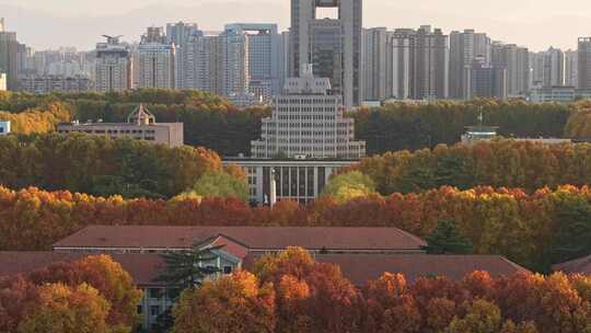 航拍城市落叶秋景西安交通大学