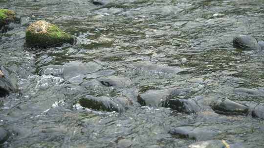 合集 溪流溪水水流升格视频