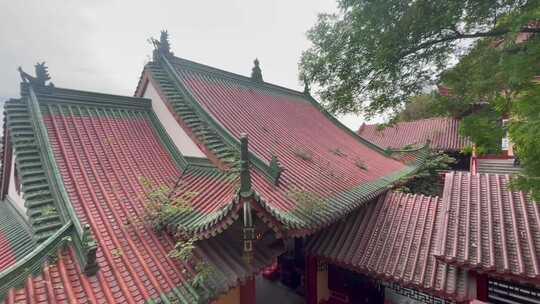 古建筑红色屋顶屋檐树枝