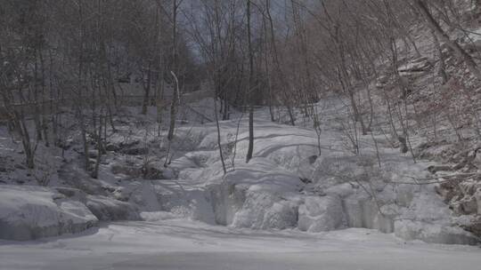 冬季北方冰雪光阴变化LOG视频素材