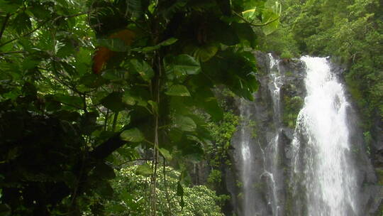 热带雨林的瀑布视频素材模板下载