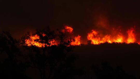 山上大火在夜间燃烧视频素材模板下载