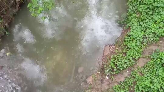 下雨的小河沟
