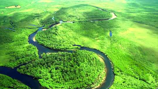 航拍绿色森林河流