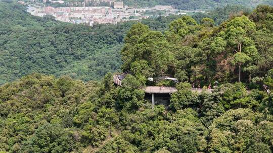 广东观音山国家森林公园第十二届登山大赛