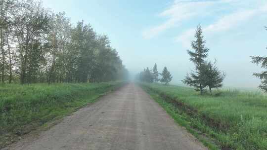 夏季田间道路