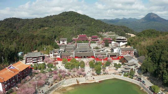 福州林阳寺樱花盛开全景