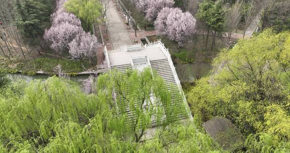 洛阳隋唐遗址植物园开元大道春天公园道路