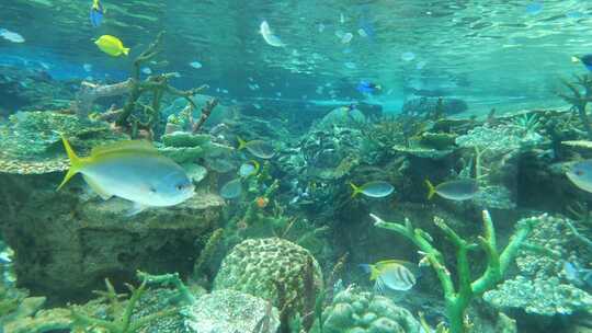 名古屋港公共水族馆