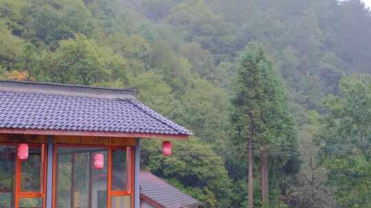 初秋山中农村雨中滴水的屋檐和树叶