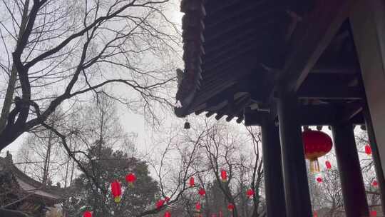 过年古树古建筑红灯笼装饰新年气氛