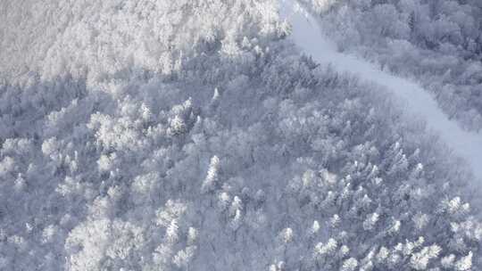 航拍黑龙江亚布力滑雪场冬季风光