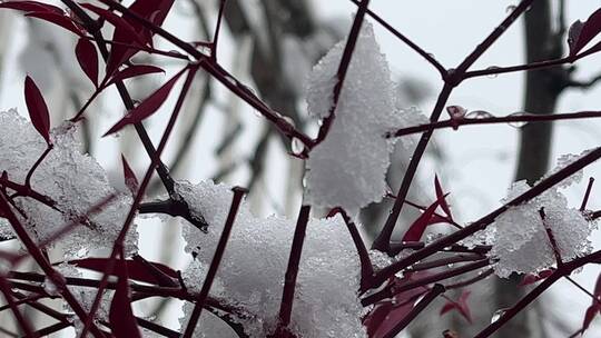 冬天的白雪视频