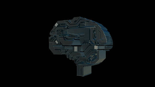 医学 大脑 脑科学 三维 脑ct1 模型